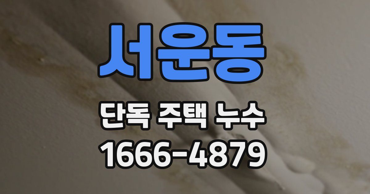 서운동 단독 주택 누수