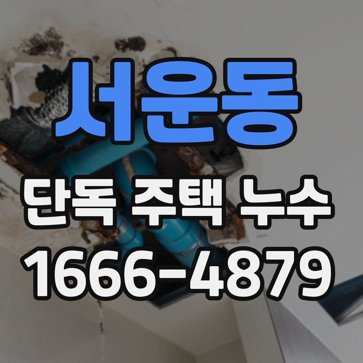 서운동 단독 주택 누수