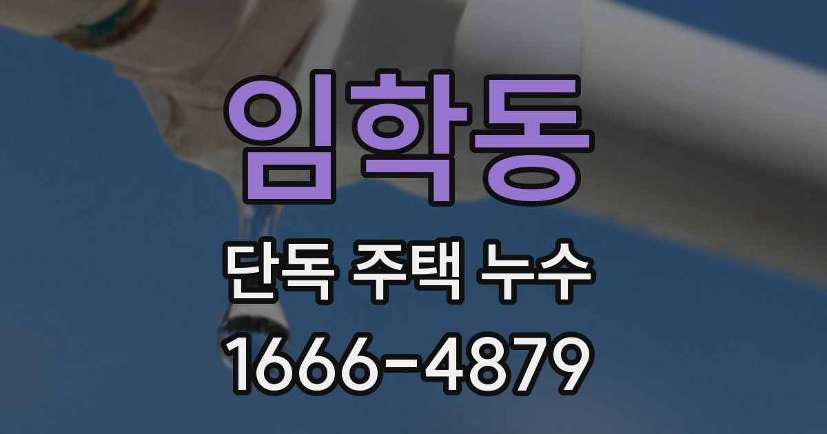 임학동 단독 주택 누수