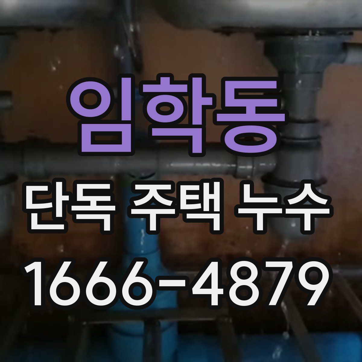 임학동 단독 주택 누수