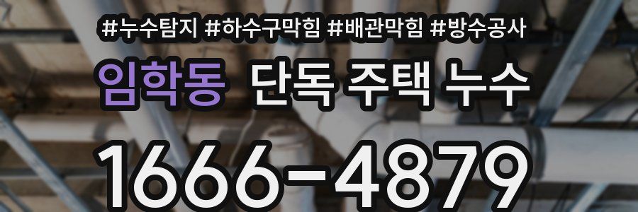 임학동 단독 주택 누수