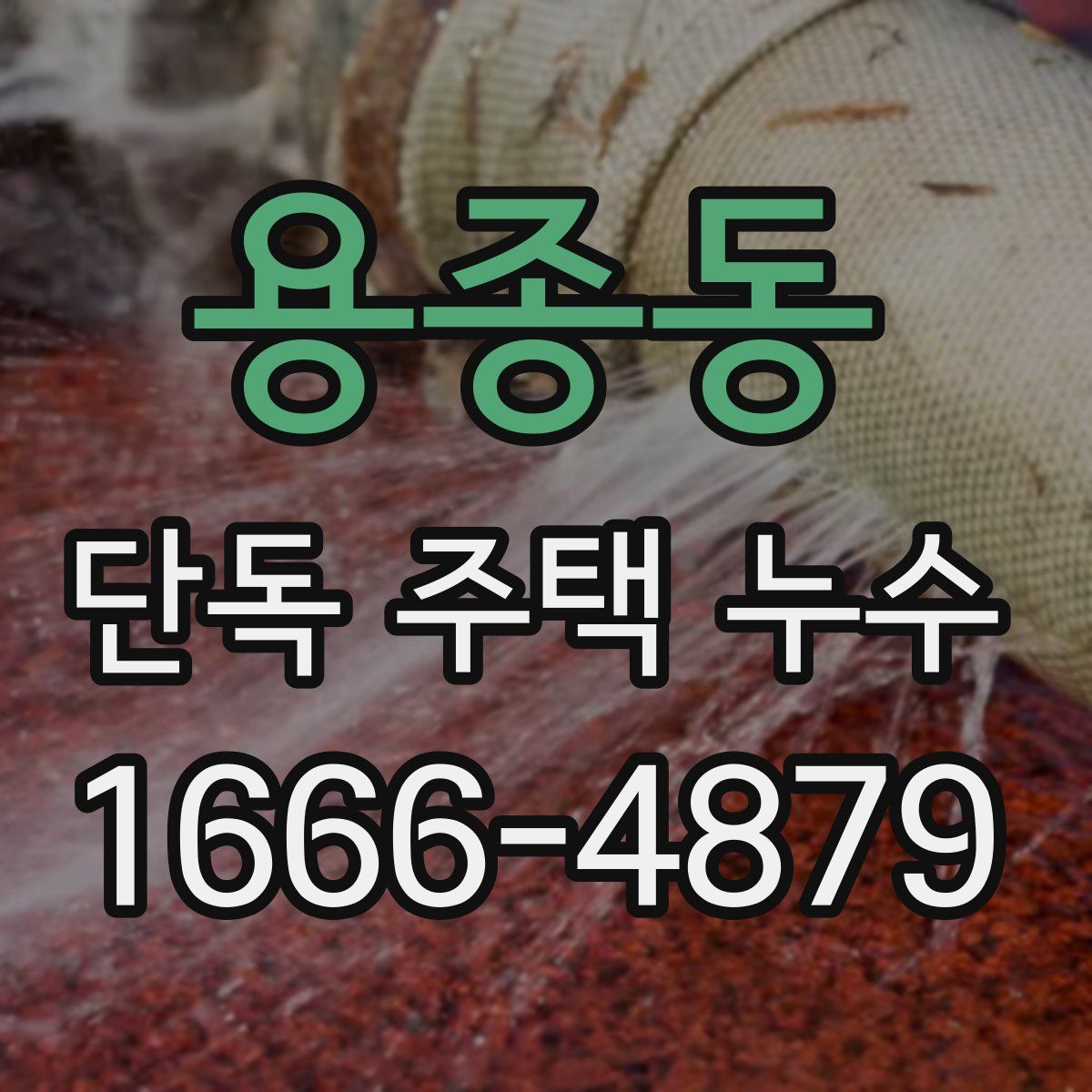 용종동 단독 주택 누수