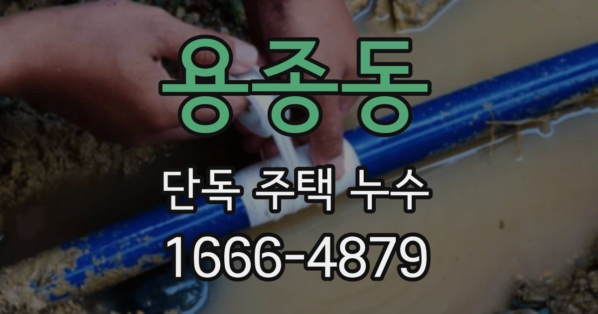 용종동 단독 주택 누수