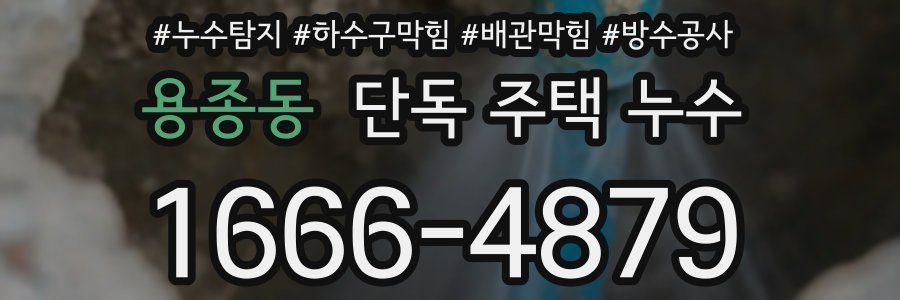 용종동 단독 주택 누수