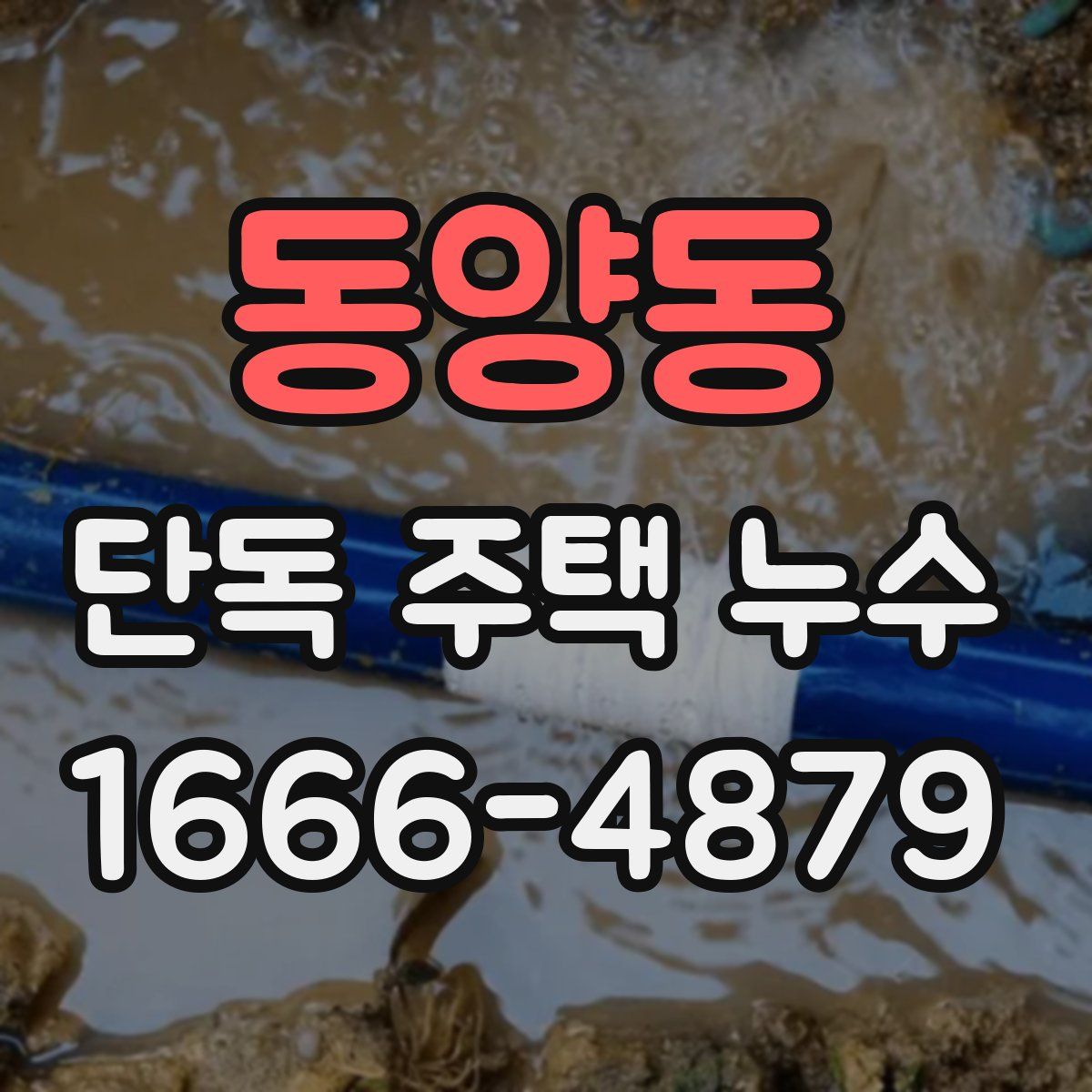 동양동 단독 주택 누수