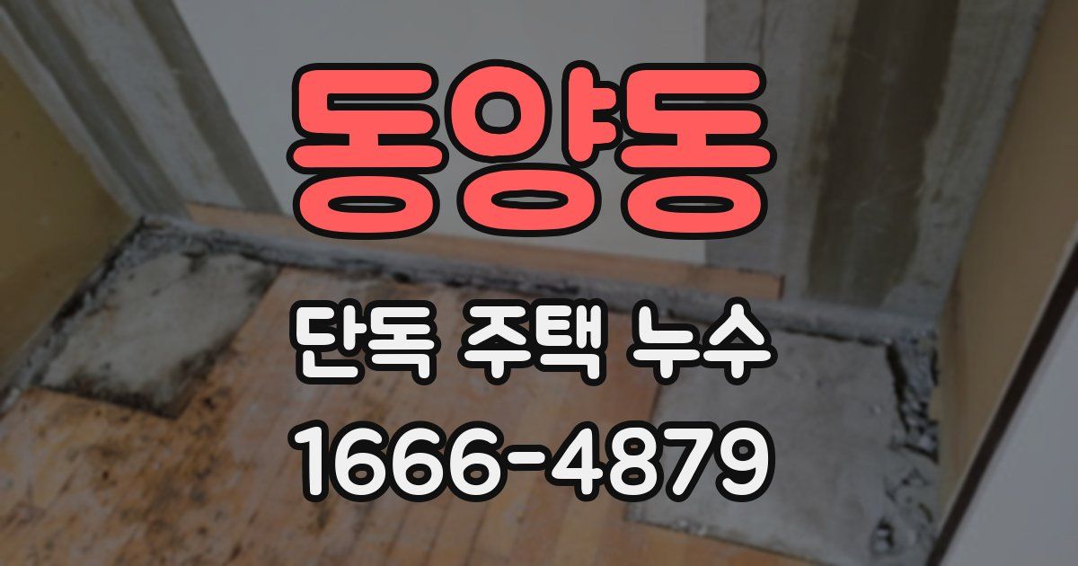 동양동 단독 주택 누수