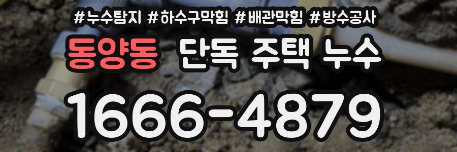 동양동 단독 주택 누수