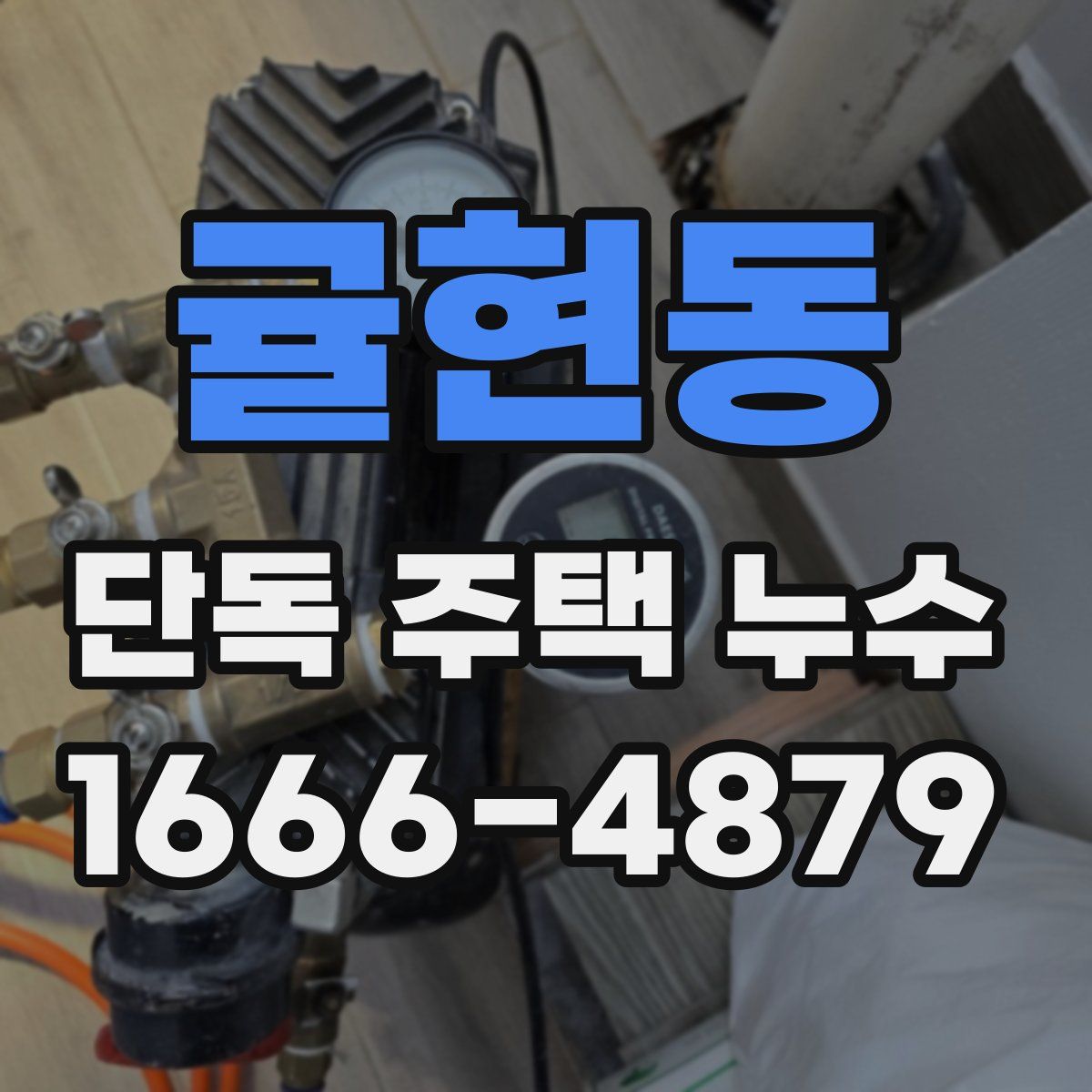 귤현동 단독 주택 누수