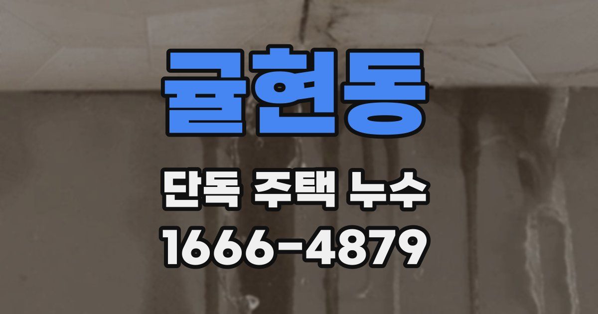 귤현동 단독 주택 누수