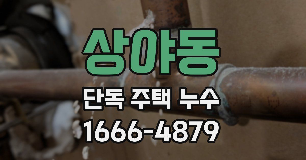 상야동 단독 주택 누수