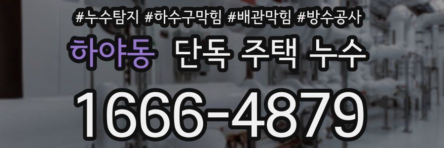 하야동 단독 주택 누수