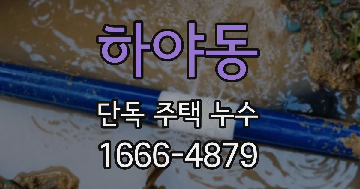 하야동 단독 주택 누수