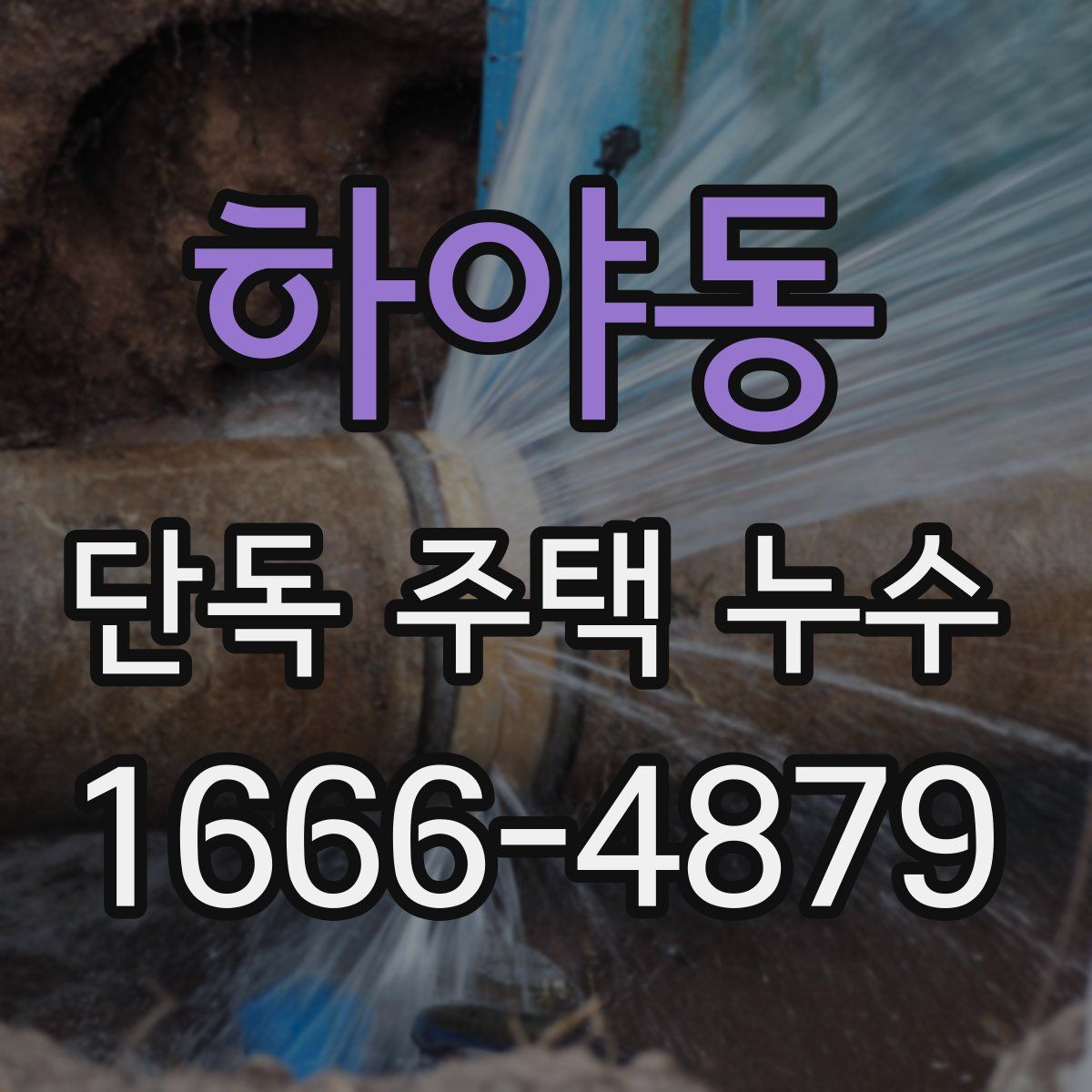 하야동 단독 주택 누수