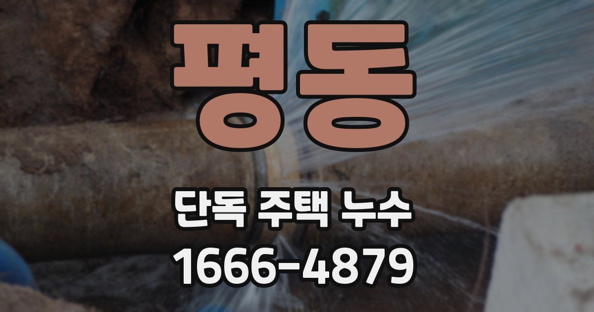 평동 단독 주택 누수