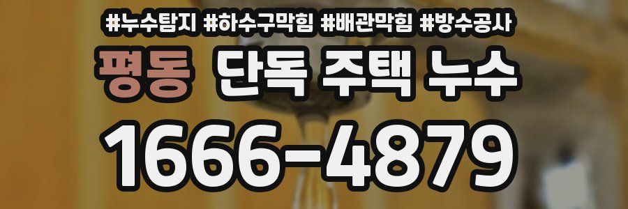 평동 단독 주택 누수