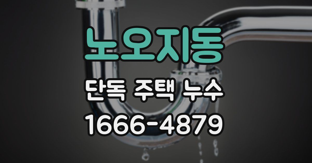 노오지동 단독 주택 누수