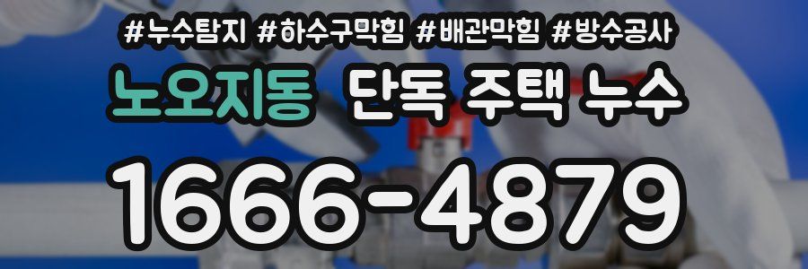 노오지동 단독 주택 누수
