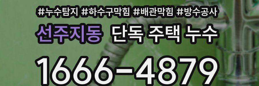 선주지동 단독 주택 누수