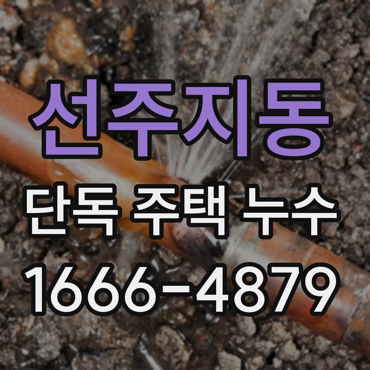 선주지동 단독 주택 누수