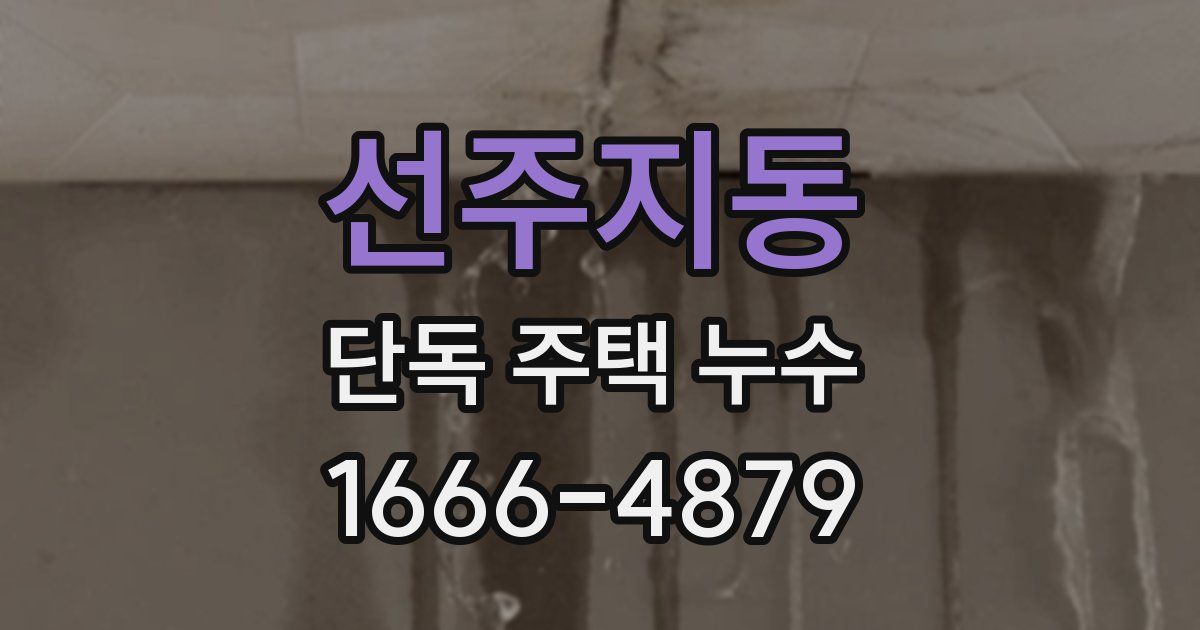 선주지동 단독 주택 누수
