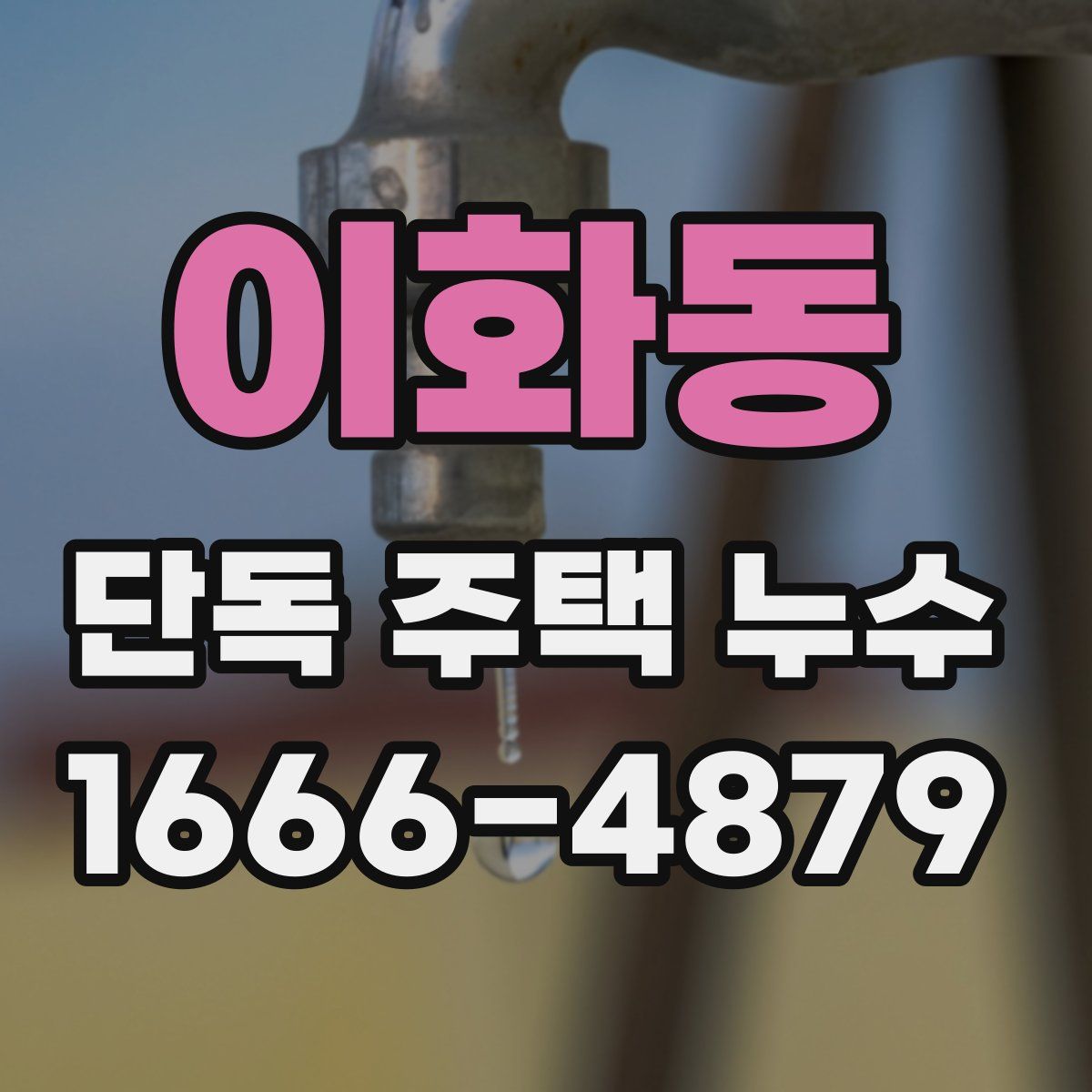 이화동 단독 주택 누수
