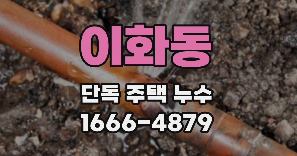 이화동 단독 주택 누수