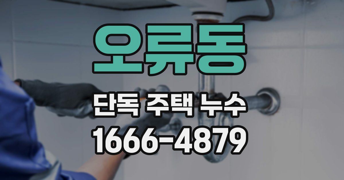 오류동 단독 주택 누수