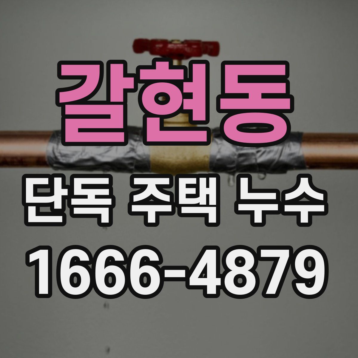 갈현동 단독 주택 누수
