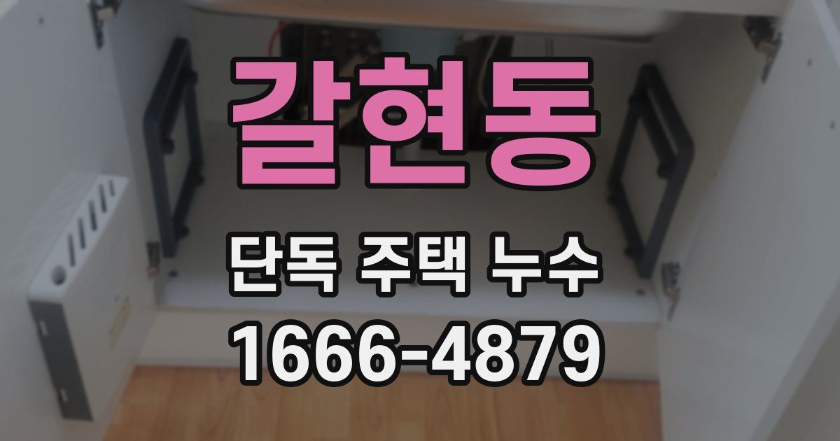 갈현동 단독 주택 누수