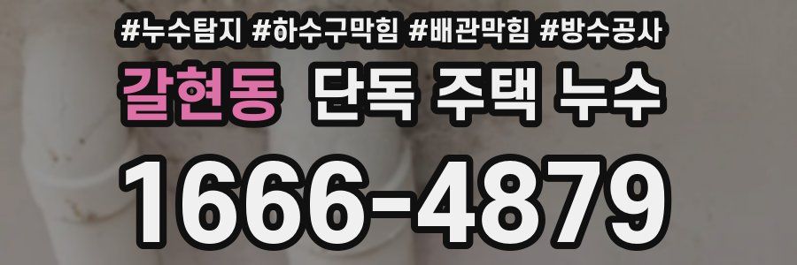 갈현동 단독 주택 누수