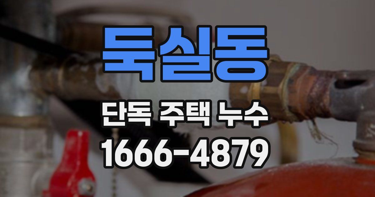 둑실동 단독 주택 누수