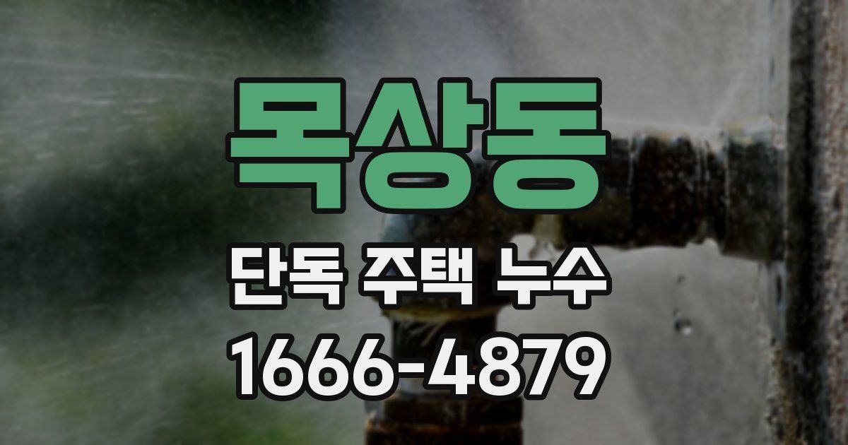 목상동 단독 주택 누수