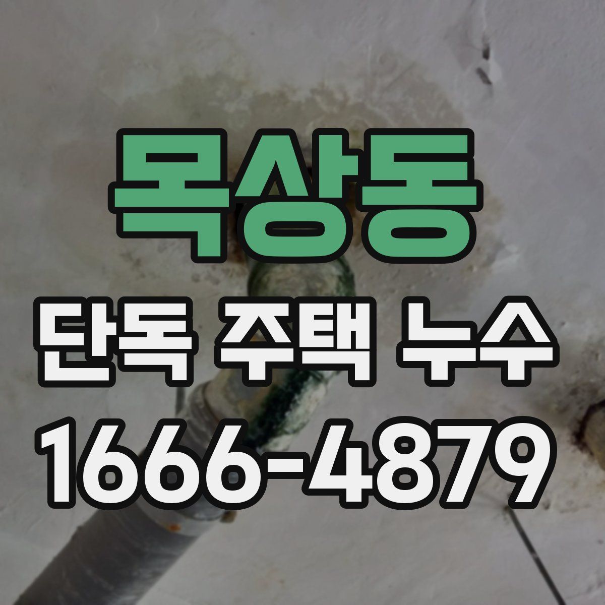 목상동 단독 주택 누수