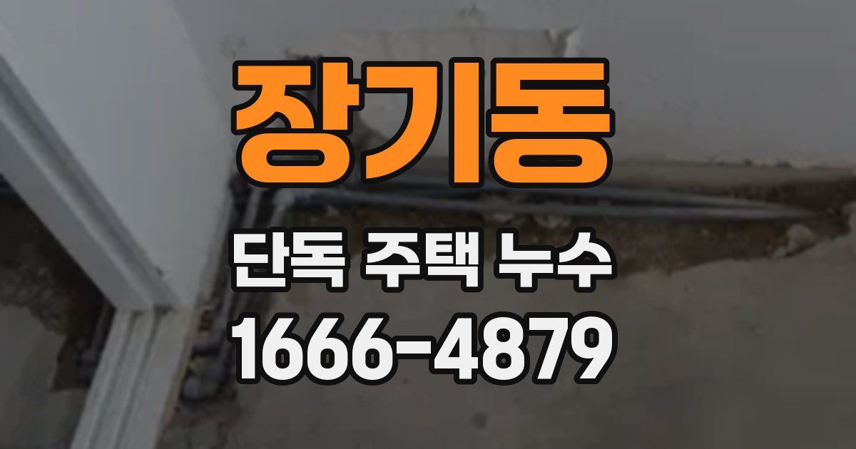 장기동 단독 주택 누수