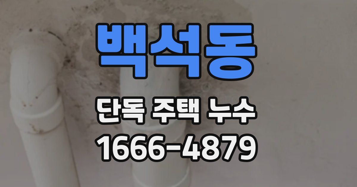 백석동 단독 주택 누수