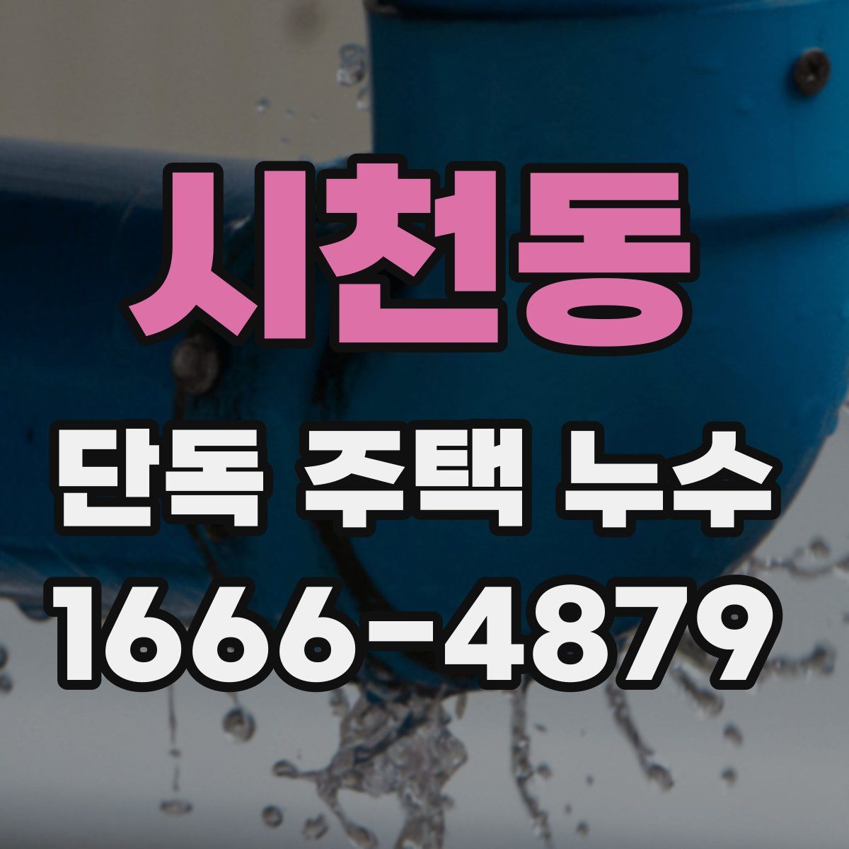 시천동 단독 주택 누수