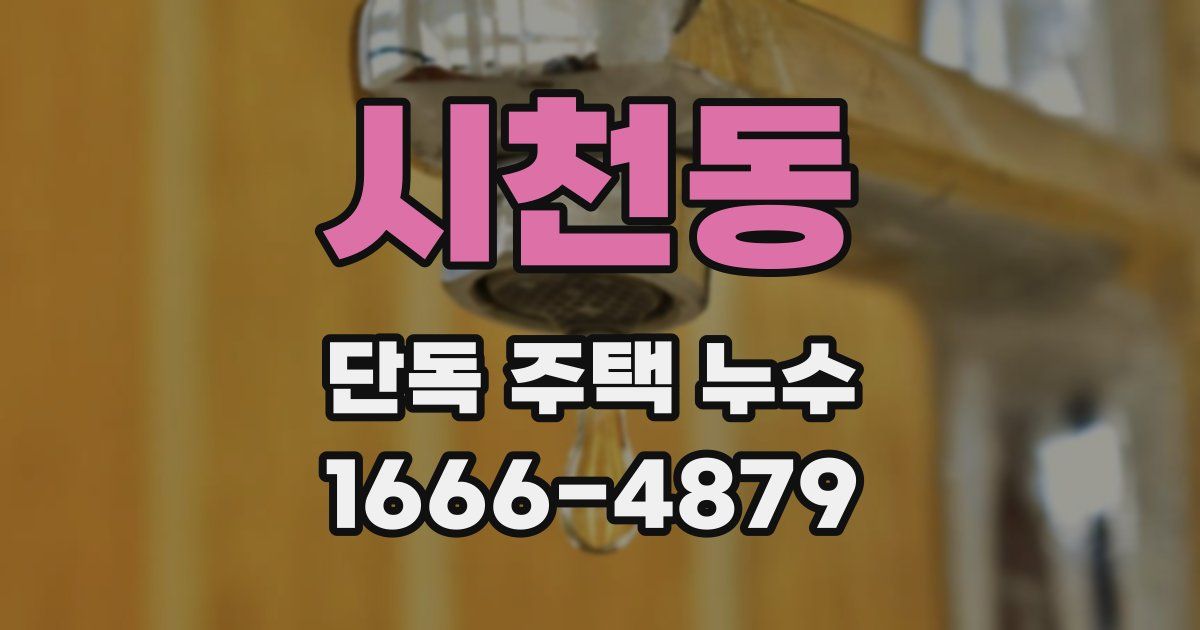 시천동 단독 주택 누수