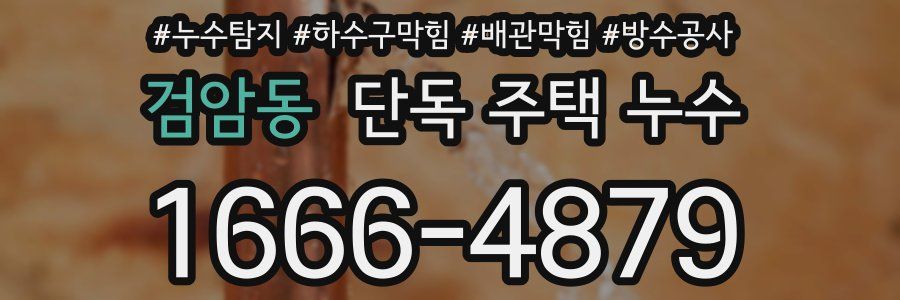 검암동 단독 주택 누수