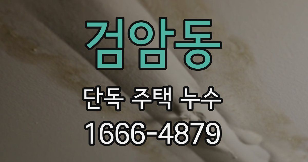 검암동 단독 주택 누수