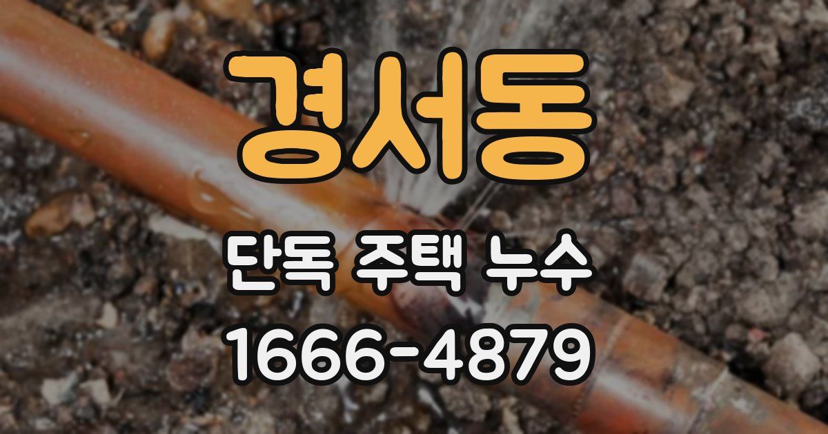 경서동 단독 주택 누수