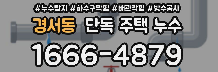 경서동 단독 주택 누수
