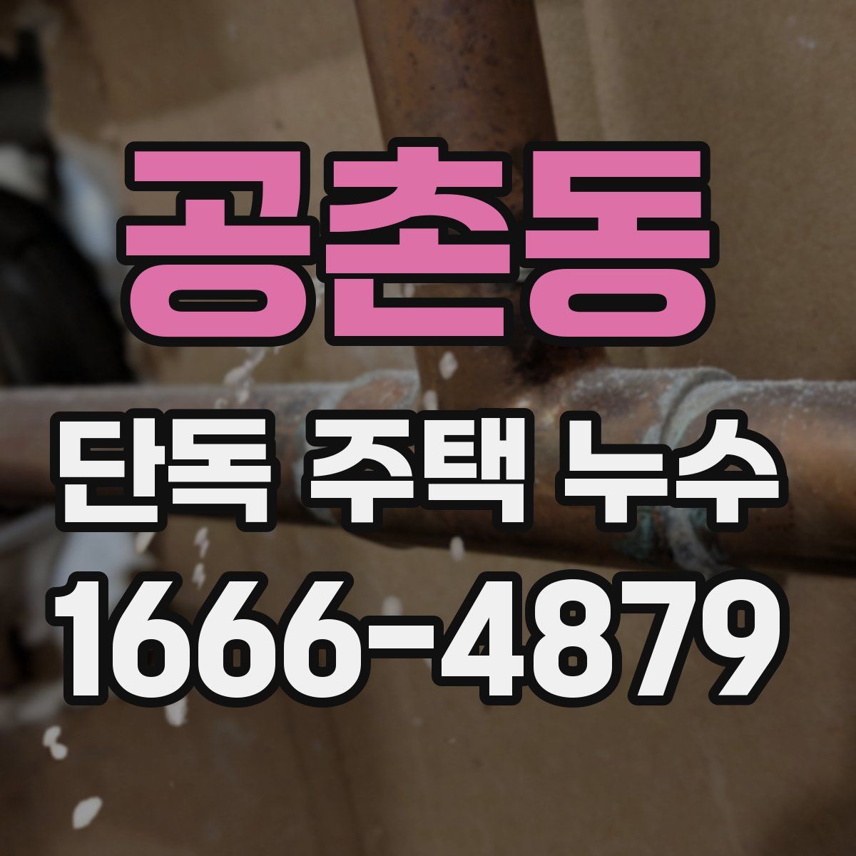 공촌동 단독 주택 누수