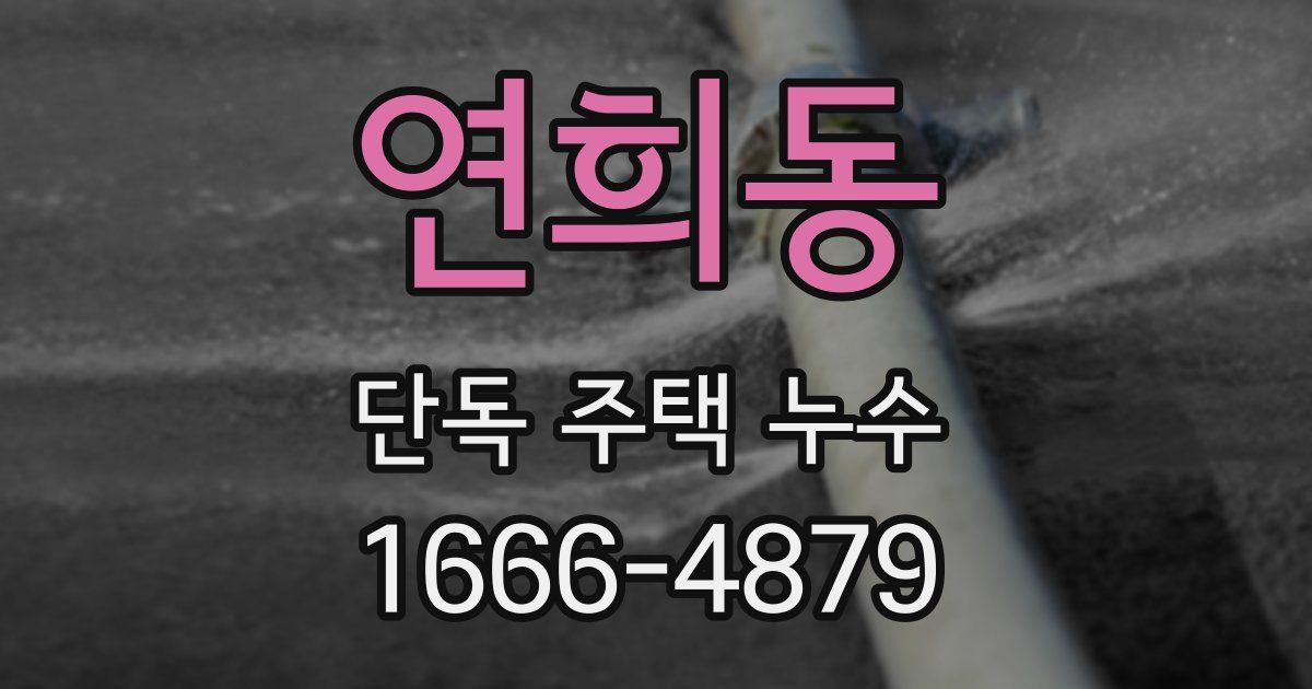 연희동 단독 주택 누수