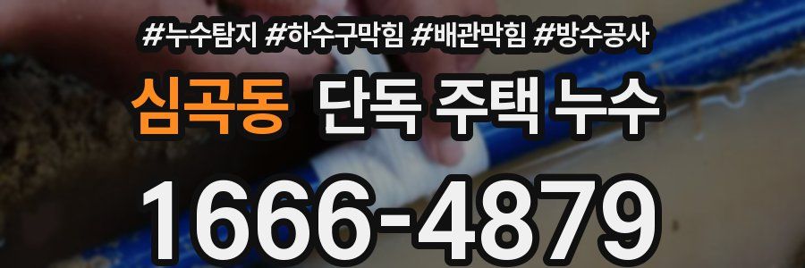 심곡동 단독 주택 누수