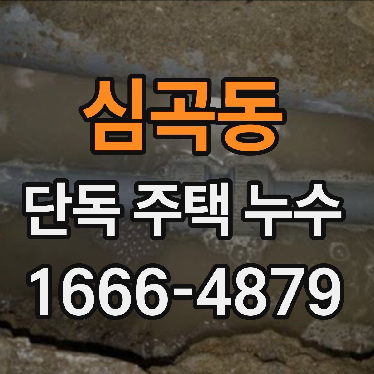 심곡동 단독 주택 누수