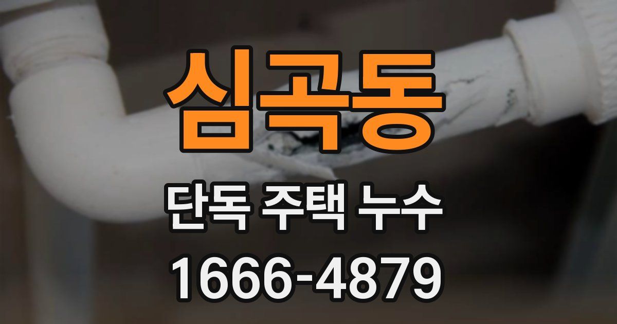 심곡동 단독 주택 누수