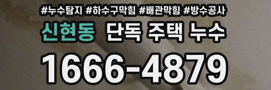 신현동 단독 주택 누수
