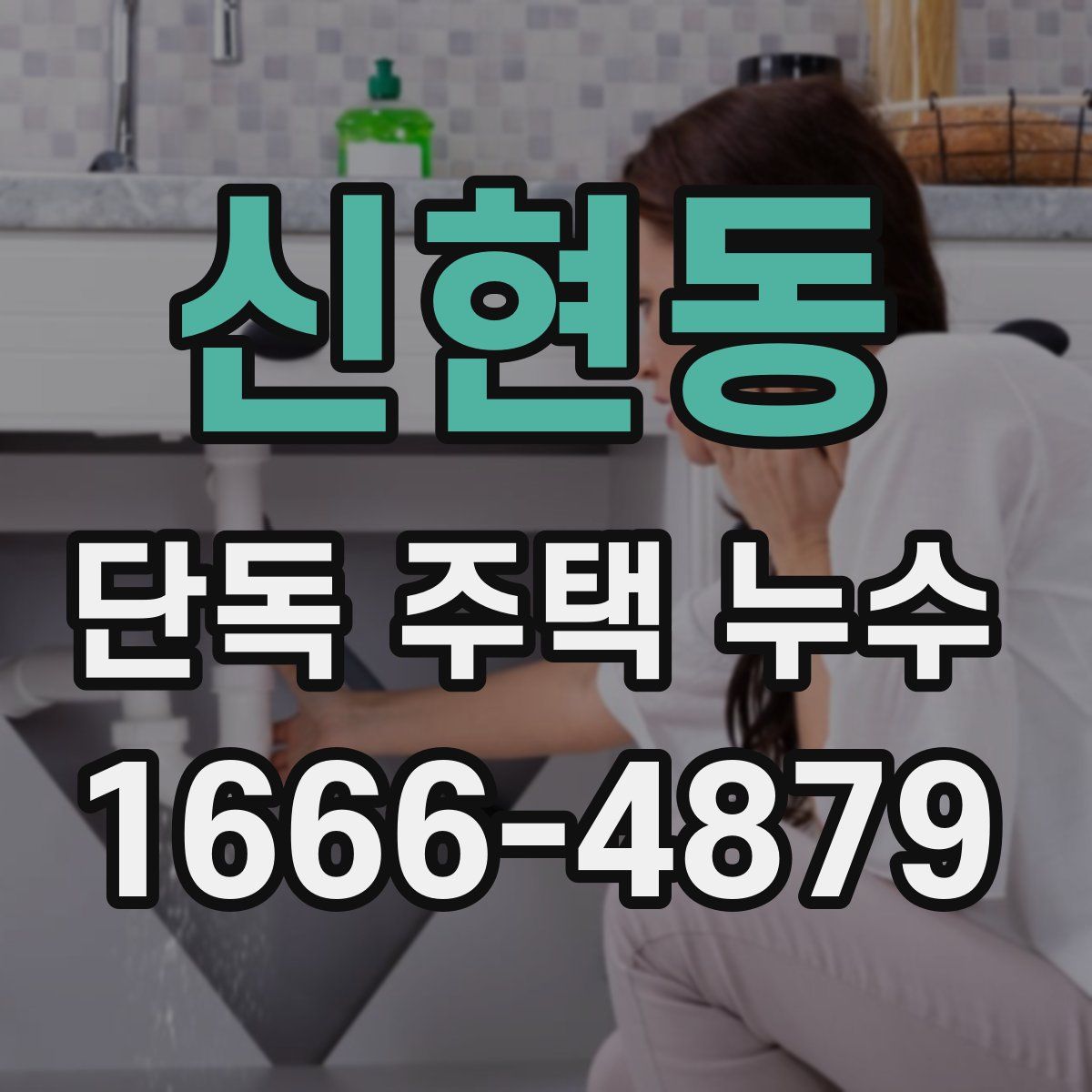 신현동 단독 주택 누수