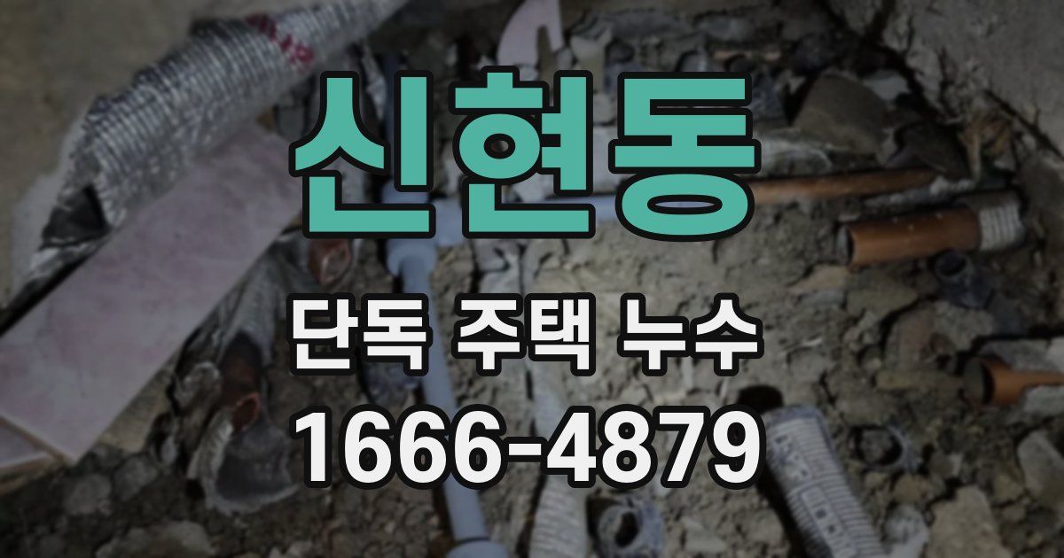 신현동 단독 주택 누수