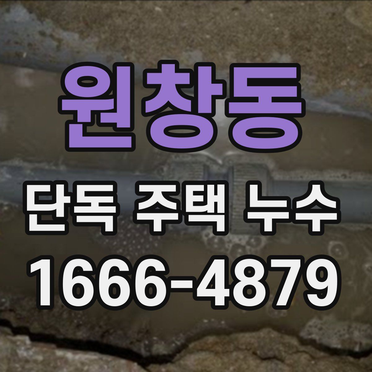 원창동 단독 주택 누수